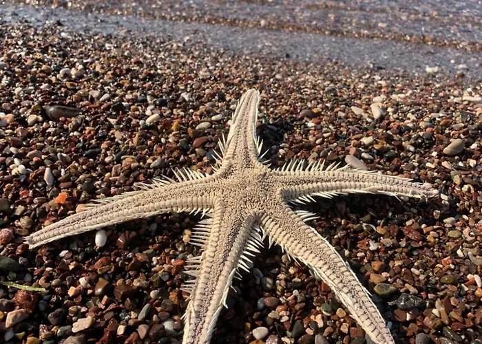 Apartmán Evi's House Kandia